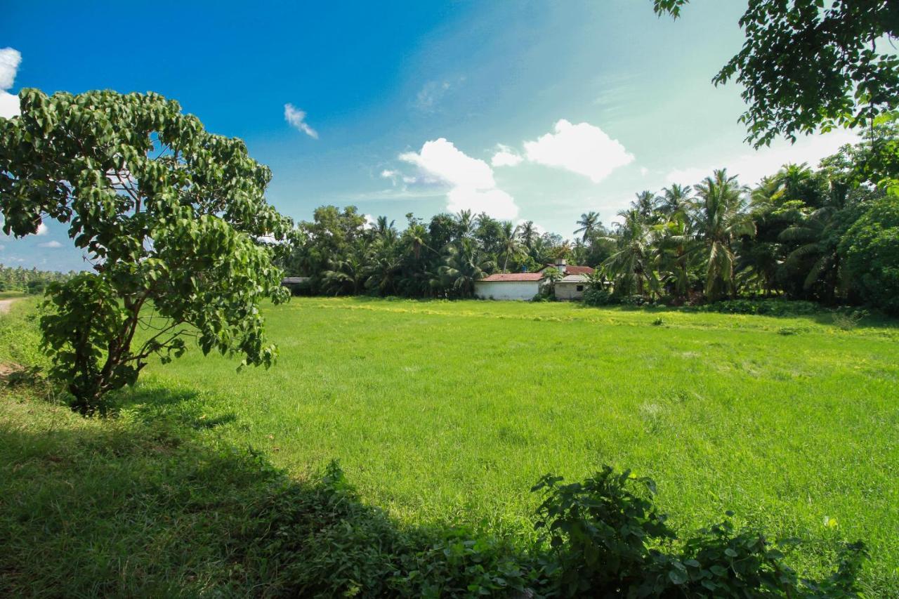 Airport Green View Resort Andiambalama Exterior foto